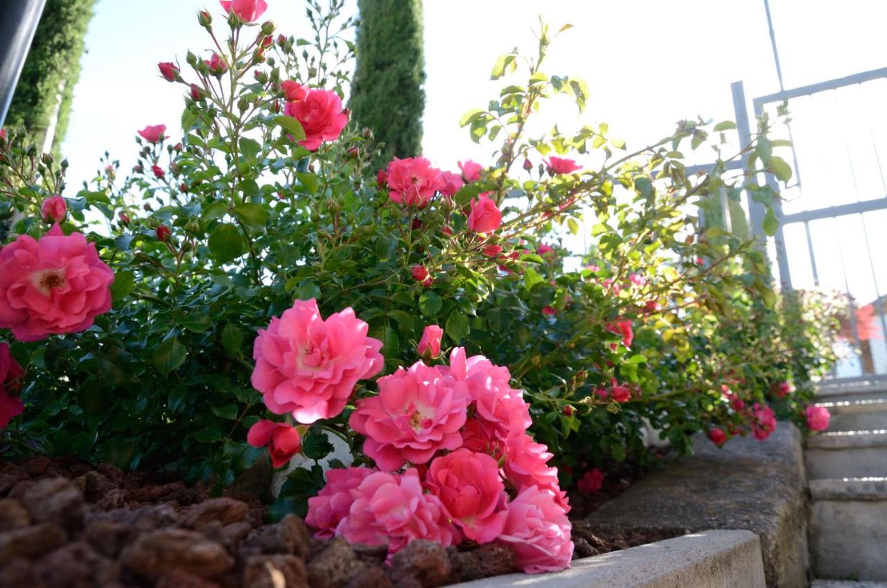 Al Trifoglio Bed & Breakfast Campodenno Luaran gambar