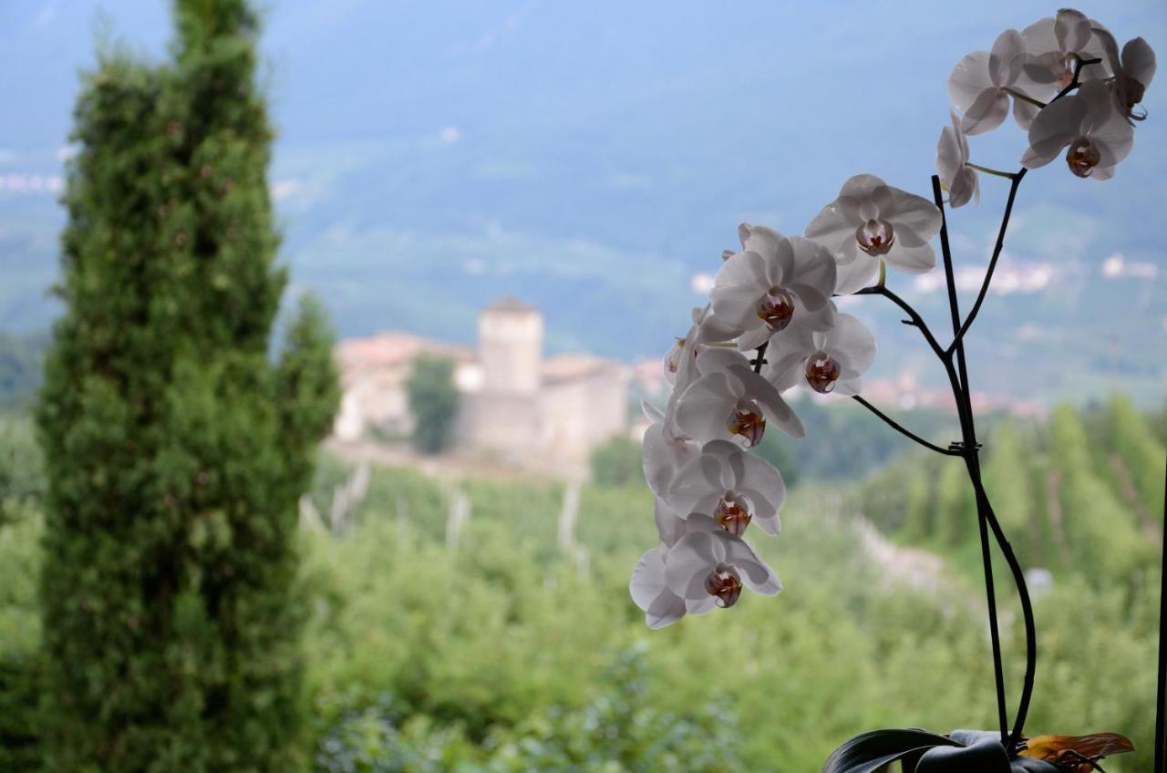 Al Trifoglio Bed & Breakfast Campodenno Luaran gambar